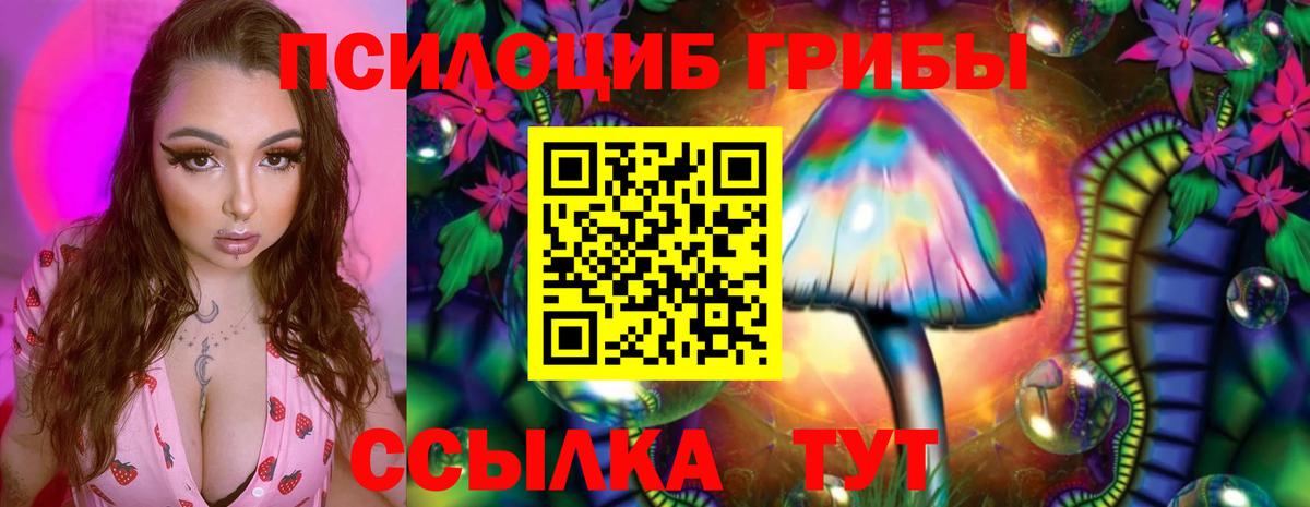 Коломна  где купить наркоту  Вход с VPN  Псилоцибиновые грибы прущие грибы 